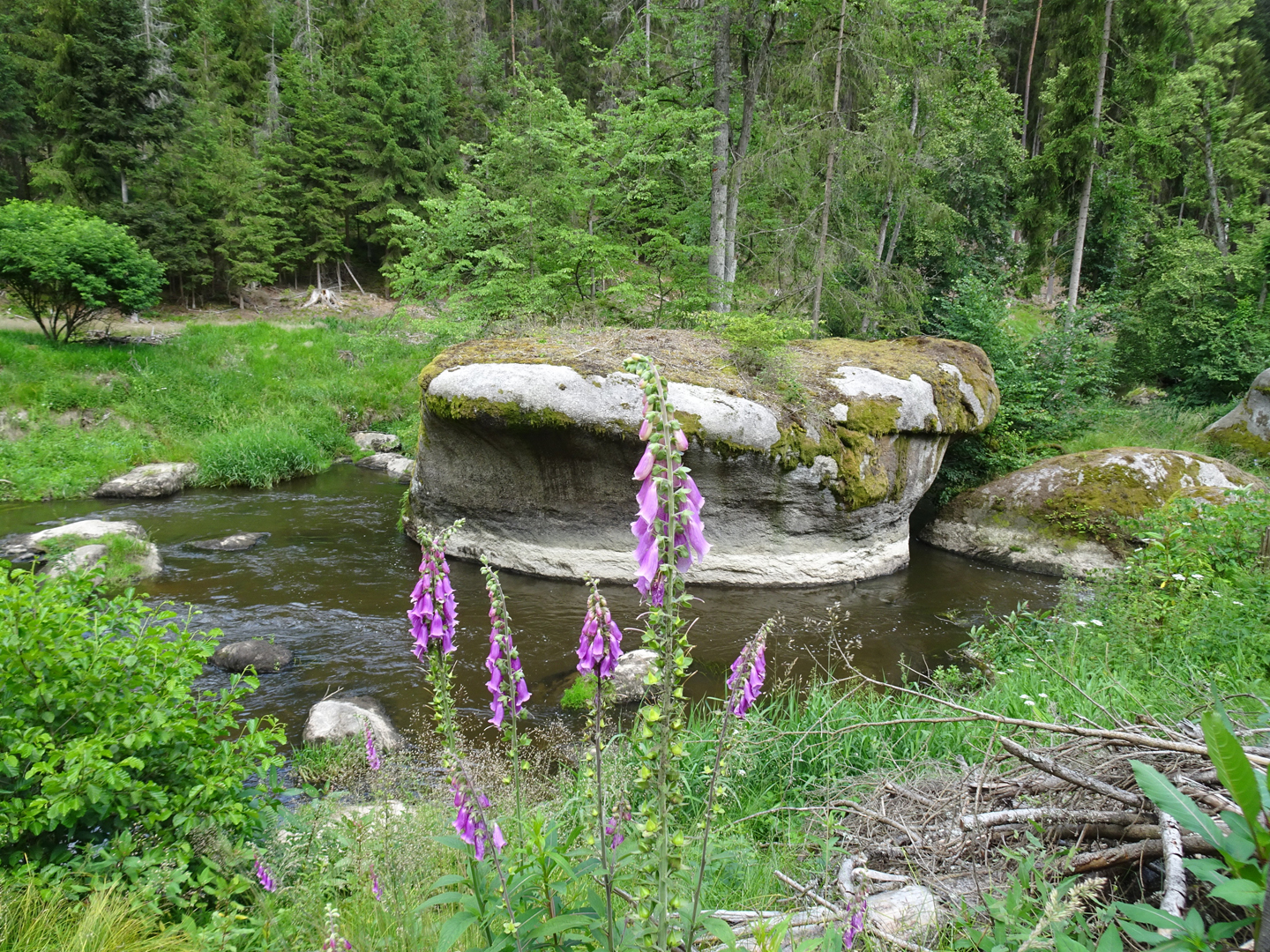 Amboss im Waldnaabtal